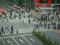 Shibuya